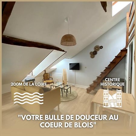 Le Cocon - Appartement En Hyper Centre Blois Kültér fotó