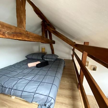 Le Cocon - Appartement En Hyper Centre Blois Kültér fotó